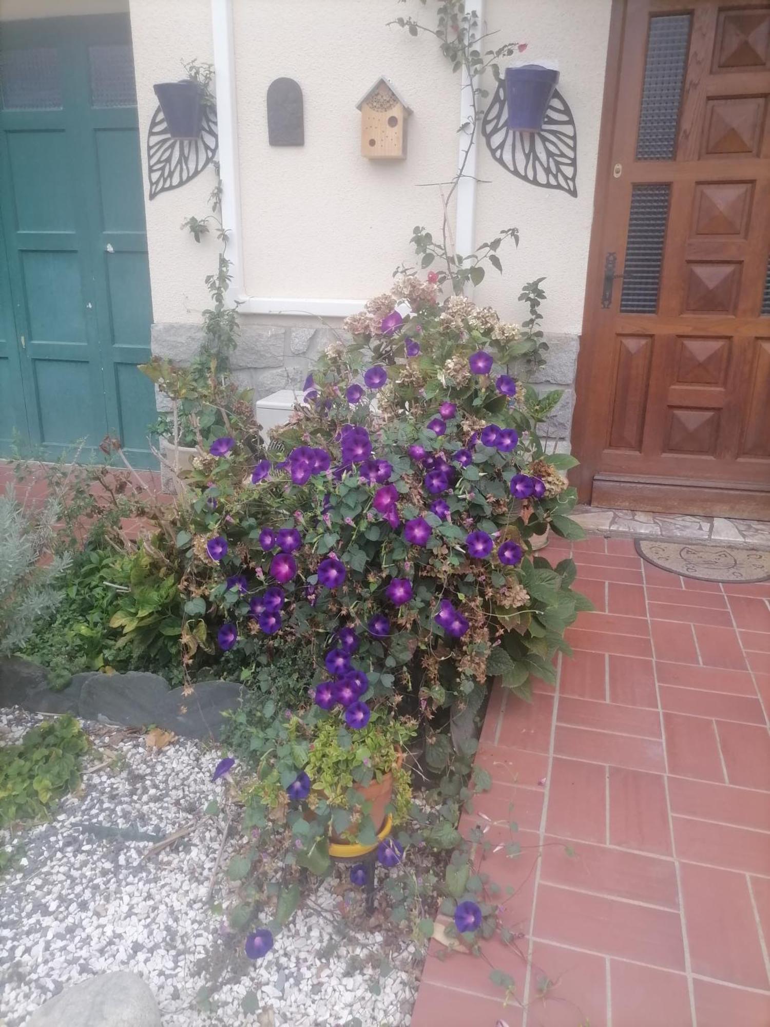 Maison Du Soleil Prades Exterior foto